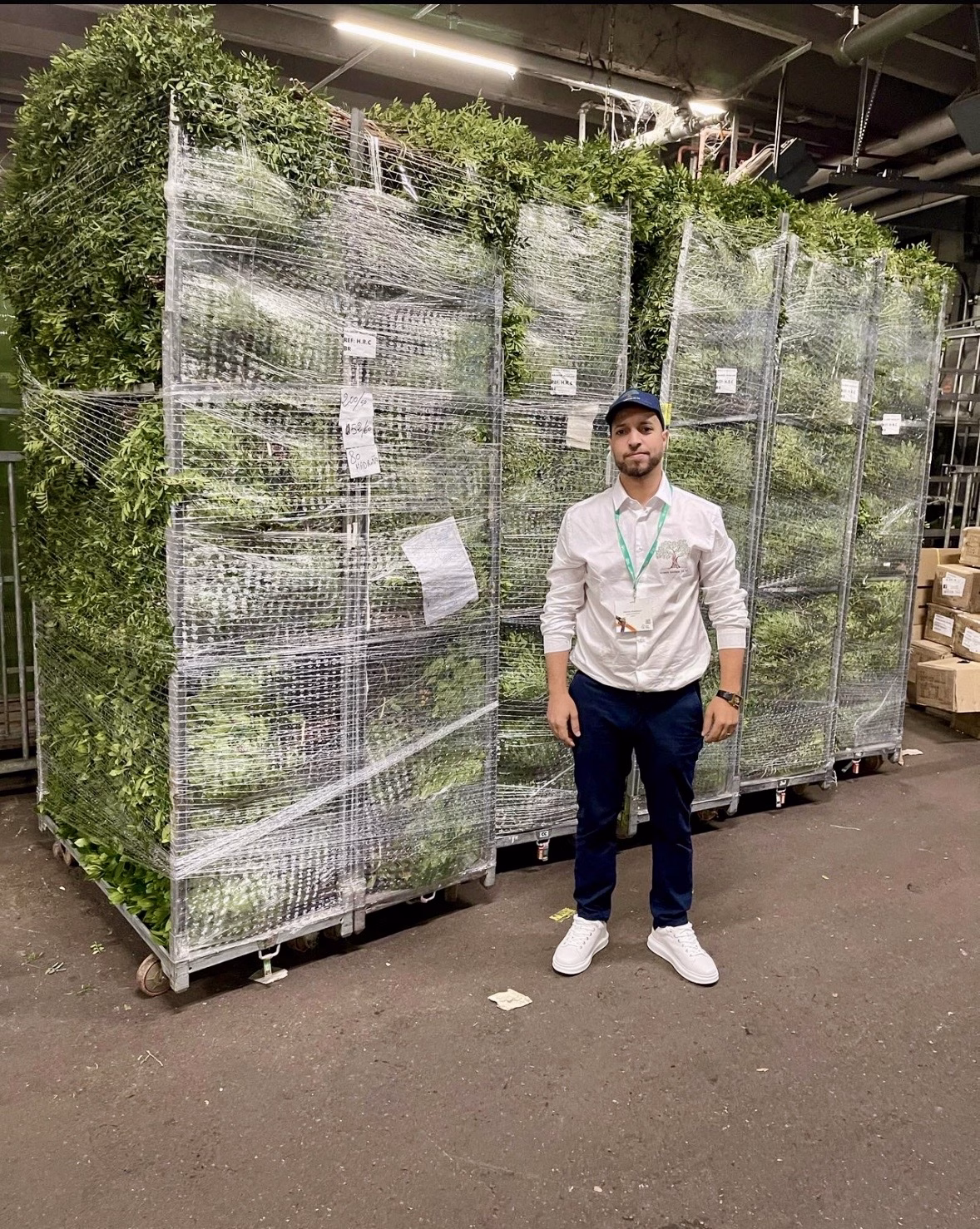 Mayoristas de Flores y Plantas