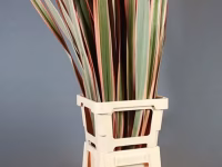 Red Phormium